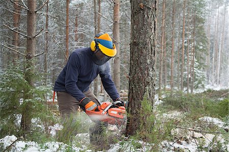 simsearch:649-06622380,k - Logger sawing tree, Tammela, Forssa, Finland Foto de stock - Sin royalties Premium, Código: 649-08923482