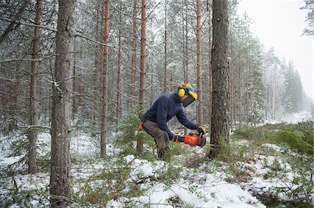 simsearch:649-06622380,k - Logger sawing tree, Tammela, Forssa, Finland Foto de stock - Sin royalties Premium, Código: 649-08923483