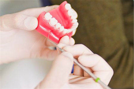 simsearch:649-07280884,k - Dentist examining model of teeth Foto de stock - Sin royalties Premium, Código: 649-09003477