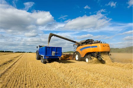 simsearch:649-06401239,k - Combine harvester and tractor, harvesting wheat Stock Photo - Premium Royalty-Free, Code: 649-09025364