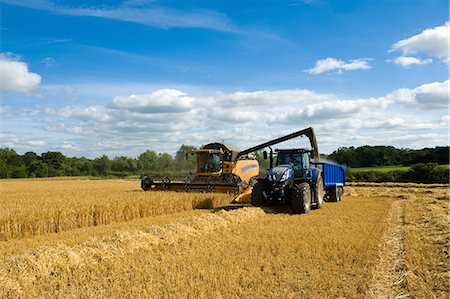 simsearch:649-06401239,k - Combine harvester and tractor, harvesting wheat Stock Photo - Premium Royalty-Free, Code: 649-09025367
