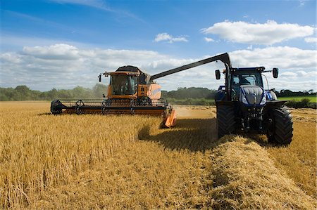 simsearch:649-06401239,k - Combine harvester and tractor, harvesting wheat Stock Photo - Premium Royalty-Free, Code: 649-09025362