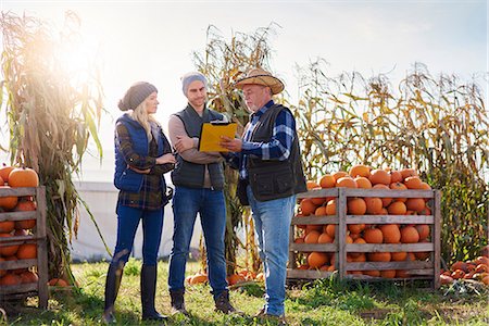 farmers family of three - Farmers working at pumpkin farm Stock Photo - Premium Royalty-Free, Code: 649-09035941