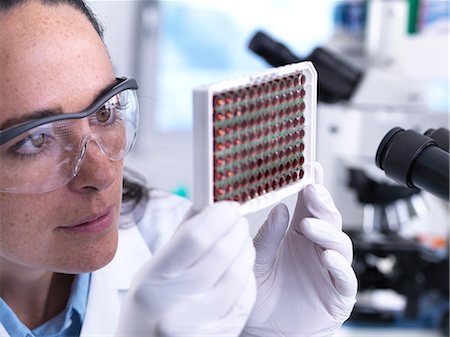 simsearch:649-07279799,k - Scientist viewing a multi well plate containing blood samples for screening a laboratory Stock Photo - Premium Royalty-Free, Code: 649-09166661