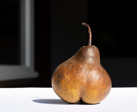 Pear in morning sun Stock Photo - Premium Royalty-Free, Code: 649-09177178