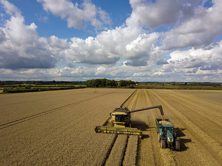 simsearch:649-05556007,k - Tractor and combine harvester harvesting wheat field, elevated view Stock Photo - Premium Royalty-Free, Code: 649-09182143