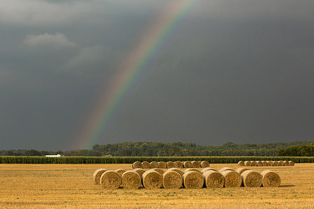 rolled up (closely coiled) - Rainbow and hay bales on field, Kiskunsagi National Park, Hungary Stock Photo - Premium Royalty-Free, Code: 649-09182302