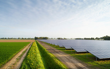 flevoland - Solar farm, Noordoostpolder, Emmeloord, Flevoland, Netherlands Foto de stock - Royalty Free Premium, Número: 649-09195989