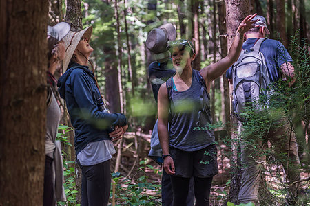 simsearch:649-07239413,k - Friends hiking in forest, Johnstone Strait, Telegraph Cove, Canada Stock Photo - Premium Royalty-Free, Code: 649-09196292