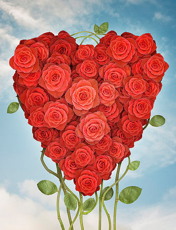simsearch:649-06717611,k - Roses arranged in heart shape Foto de stock - Sin royalties Premium, Código: 649-09206708