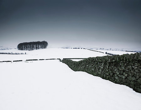 simsearch:614-06718312,k - Snow covered landscape with dry stone walls, Forest of Bowland, Lancashire, UK Photographie de stock - Premium Libres de Droits, Code: 649-09208623