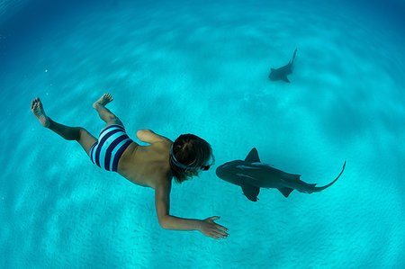 Boy with nurse shark, Bimini, Bahamas Stock Photo - Premium Royalty-Free, Code: 649-09208667