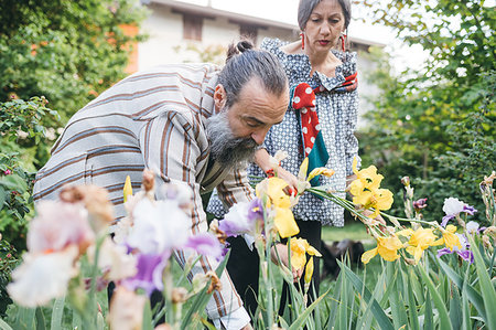 simsearch:649-07238535,k - Couple picking flowers from garden Stock Photo - Premium Royalty-Free, Code: 649-09212661