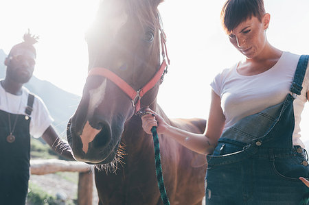 Young woman leading horse in sunlit equestrian arena Stock Photo - Premium Royalty-Free, Code: 649-09213042