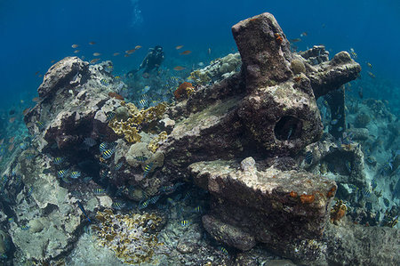 ruins ocean underwater - Diver exploring reef life and old wrecks, Alacranes, Campeche, Mexico Stock Photo - Premium Royalty-Free, Code: 649-09230329