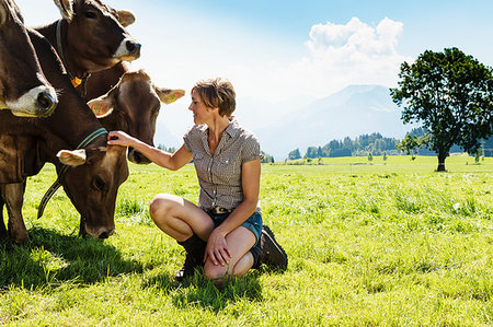 simsearch:649-07239413,k - Woman bonding with herd of cows on field, Sonthofen, Bayern, Germany Stock Photo - Premium Royalty-Free, Code: 649-09246326