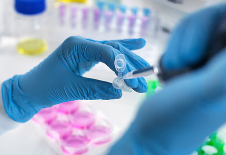 simsearch:649-08085222,k - Biotechnology research, scientist pipetting sample into vial for analysis in laboratory, close up of hands Stock Photo - Premium Royalty-Free, Code: 649-09251904