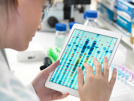 simsearch:649-07585094,k - Female scientist examining DNA sequence results on digital tablet in laboratory Stock Photo - Premium Royalty-Free, Code: 649-09251909