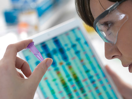 simsearch:649-07279799,k - Female scientist examining DNA sample in eppendorf tube with results on digital tablet in laboratory Stock Photo - Premium Royalty-Free, Code: 649-09251910