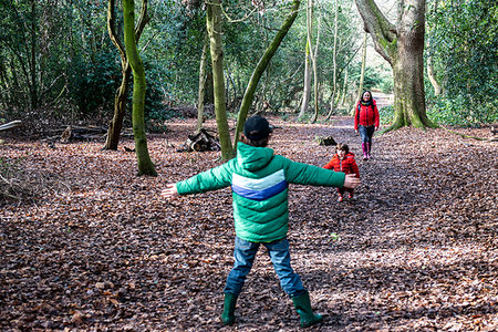 simsearch:614-06897023,k - Boy playing with his brother in woodland Stock Photo - Premium Royalty-Free, Code: 649-09252033
