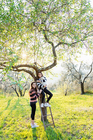 simsearch:649-06401393,k - Girl and her sister holding a cute golden retriever puppy on tree ladder in sunlit orchard, portrait, Scandicci, Tuscany, Italy Stock Photo - Premium Royalty-Free, Code: 649-09269148