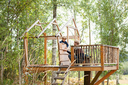 simsearch:649-03775589,k - Father and son building treehouse together in garden Stock Photo - Premium Royalty-Free, Code: 649-09277426