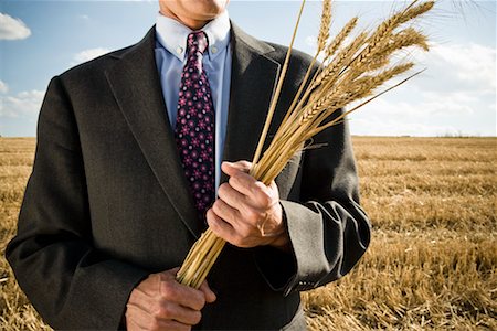 sensitive - Businessman in a wheat field holding wheat. Stock Photo - Premium Royalty-Free, Code: 649-01608589