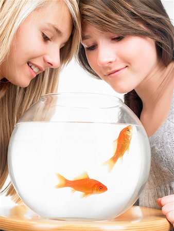 Girls looking at goldfishes in aquarium Stock Photo - Premium Royalty-Free, Code: 649-02054427