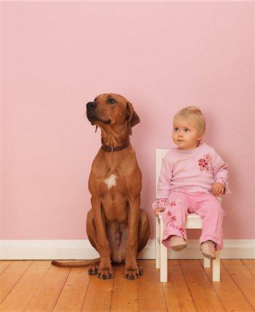 Dog sitting next to female toddler Stock Photo - Premium Royalty-Free, Code: 649-02732670