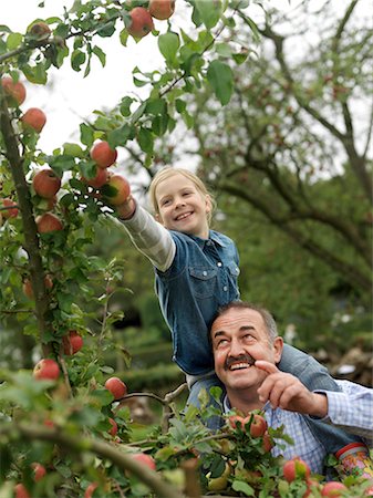 family apple orchard - Homme et jeune fille cueillette des pommes sur les épaules Photographie de stock - Premium Libres de Droits, Code: 649-03008687