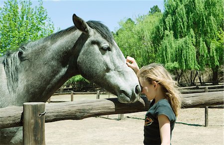 simsearch:649-05649029,k - Girl stroking horse Stock Photo - Premium Royalty-Free, Code: 649-03296182