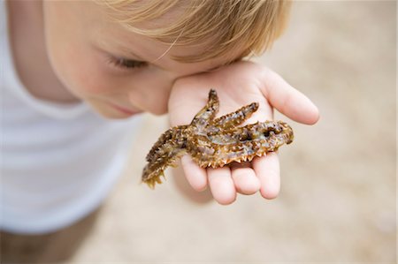 Portrait of a boy with sea-asterisk Stock Photo - Premium Royalty-Free, Code: 649-03297556