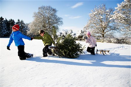 Children pulling Christmas tree in snow Stock Photo - Premium Royalty-Free, Code: 649-03417270
