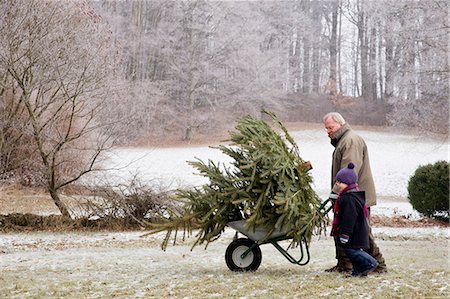 snow christmas tree white - boy and grandfather with christmas tree Stock Photo - Premium Royalty-Free, Code: 649-03666668