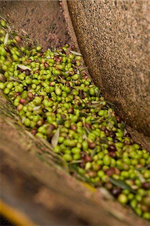 Olive mill Stock Photo - Premium Royalty-Free, Code: 649-03774703
