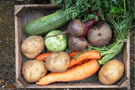 potato farm - Tray of fresh vegetables Stock Photo - Premium Royalty-Free, Code: 649-03770878