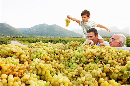father grandson - Generational family looking at grapes Stock Photo - Premium Royalty-Free, Code: 649-03772481