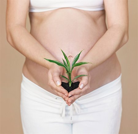 simsearch:649-06532928,k - Pregnancy bump with plant Stock Photo - Premium Royalty-Free, Code: 649-03796567
