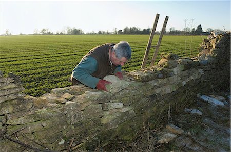 stacked stone - Man building wall Stock Photo - Premium Royalty-Free, Code: 649-03796960