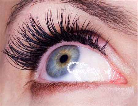 false eyelashes - Close-up of female eye Stock Photo - Premium Royalty-Free, Code: 640-05760894