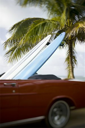 surfboard close up - Close-up of two surfboards in a car Stock Photo - Premium Royalty-Free, Code: 640-01348318