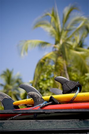 surfboard close up - Close-up of surfboards Stock Photo - Premium Royalty-Free, Code: 640-01354578