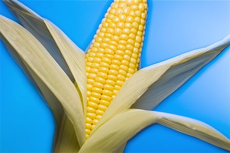 simsearch:640-01354413,k - Close-up of an ear of corn Foto de stock - Sin royalties Premium, Código: 640-01355837