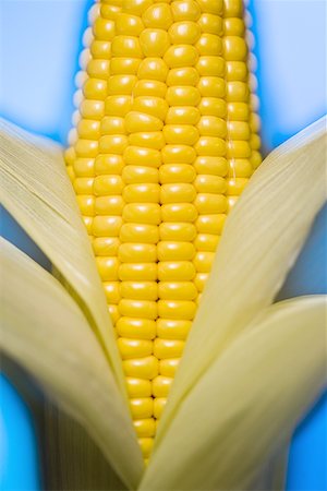 simsearch:640-01354413,k - Close-up of an ear of corn Foto de stock - Sin royalties Premium, Código: 640-01350655