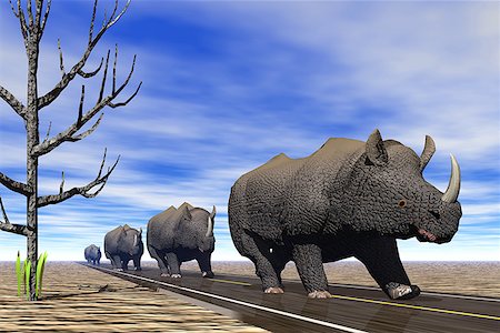 path concept nobody - Herd of rhinoceros walking in a line on a road Stock Photo - Premium Royalty-Free, Code: 640-01352926