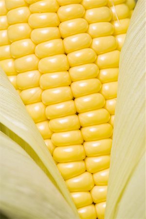 simsearch:640-01354413,k - Close-up of an ear of corn Foto de stock - Sin royalties Premium, Código: 640-01364686