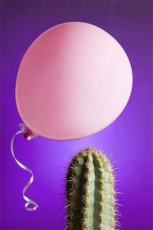 Close-up of a balloon above a cactus Stock Photo - Premium Royalty-Free, Code: 640-01365858
