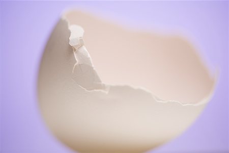 Close-up of a broken egg shell Stock Photo - Premium Royalty-Free, Code: 640-01363508