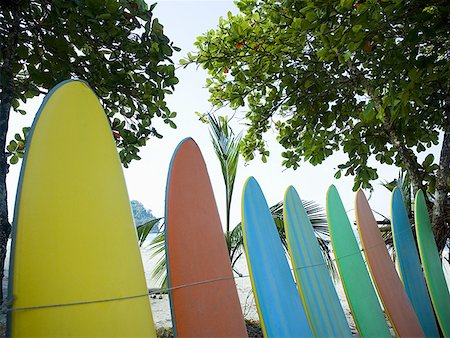period - Surfboards in a row Stock Photo - Premium Royalty-Free, Code: 640-01363571