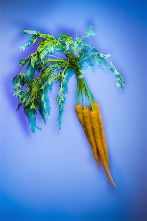 Close-up of a bunch of carrots on a blue background Stock Photo - Premium Royalty-Free, Code: 640-01363819